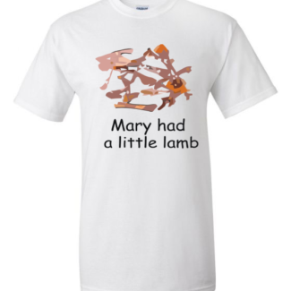 Marry had a little lamb